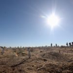 6543e9f6b7473__6543e9f6b7474