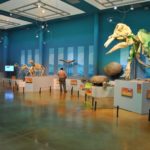 WhatsApp-Image-2024-03-28-at-12.56.01-PM