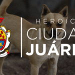 BANNER-600×250-RAMM